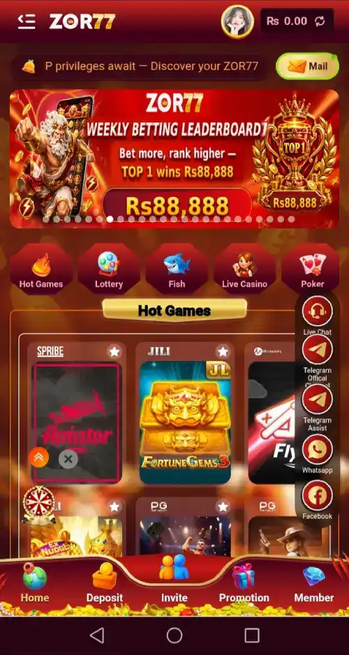 zor77 game